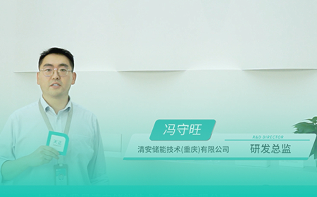 pg网赌模拟器无限玩x清安储能
