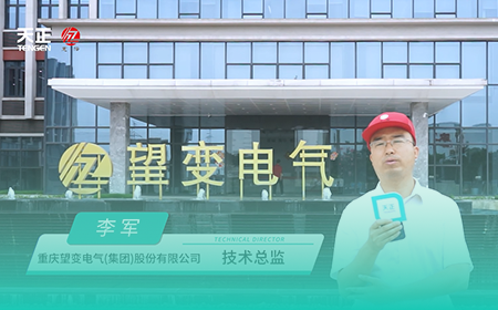 pg网赌模拟器无限玩x望变电气
